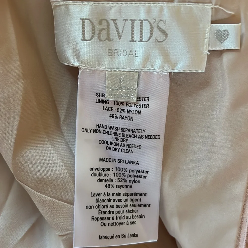 David’s Bridal Lace Mesh V Neck Bridesmaid Dress | petal | size 8 - Picture 4 of 5